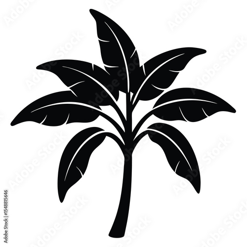 Tropical vibes emanate from this sleek, minimalist black tree silhouette standing isolated