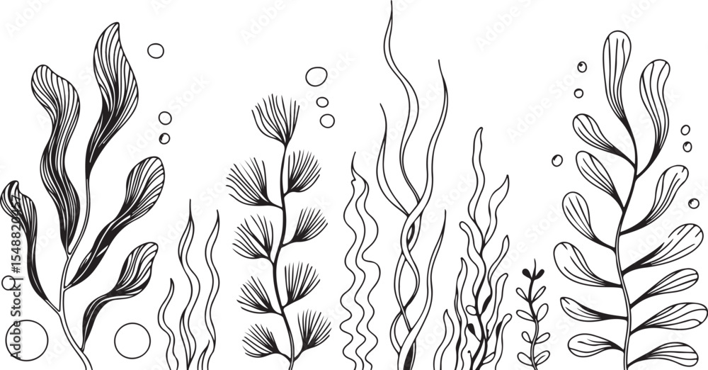 Naklejka premium This image features a collection of various sea plants and aquatic flora, rendered in detailed line art with accompanying bubbles, creating an underwater theme. 
