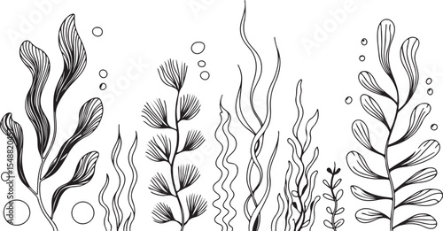 This image features a collection of various sea plants and aquatic flora, rendered in detailed line art with accompanying bubbles, creating an underwater theme. 