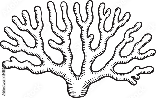 This image features a single coral formation with a textured outline, highlighting its organic shape.