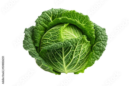 Fresh green savoy cabbage isolated on transparent background