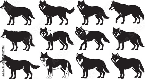 Wolf Silhouette Collection Wild Animal Predator Vector Illustration Set
