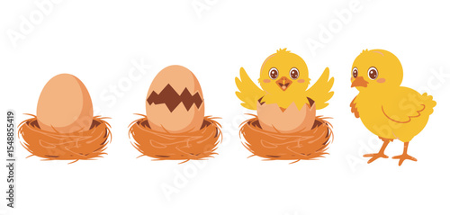 Cute Chick Hatching from Egg in Nest