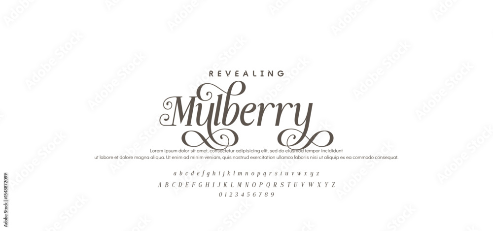 Elegant Font. Luxurious Glamour Exclusive Regular Font. Uppercase Lowercase and Number. Minimal Fashion Design Elegant Font. Luxurious Glamour Exclusive Regular Font. Uppercase Lowercase and Number. Minimal Fashion Design