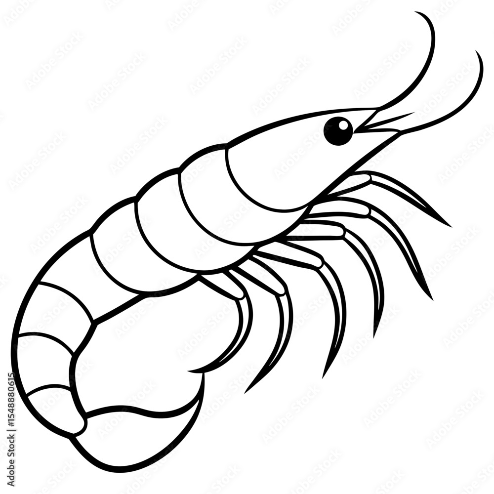 Fototapeta premium Clean Shrimp Linework