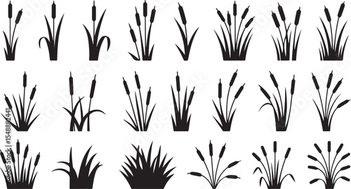 Silhouette Cattail Reed Collection Vector Art Plant Nature Wetland Marshland