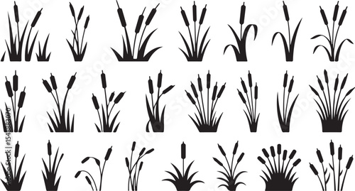 Silhouette Cattail Reed Collection Vector Art Plant Nature Wetland Marshland