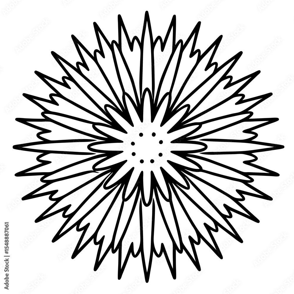 Obraz premium Elegant Sea Slug Outline