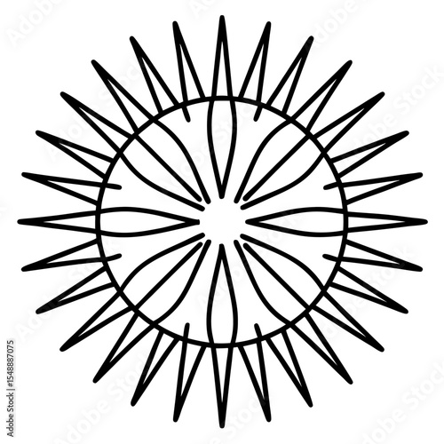 Elegant Sea Slug Outline