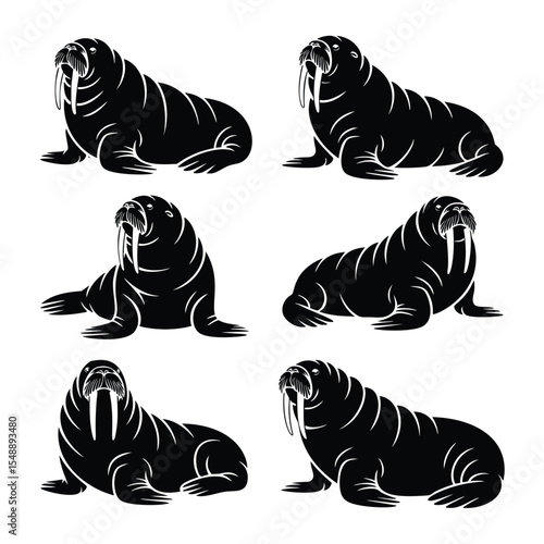 Six Striking Walrus Silhouettes: Arctic Icons