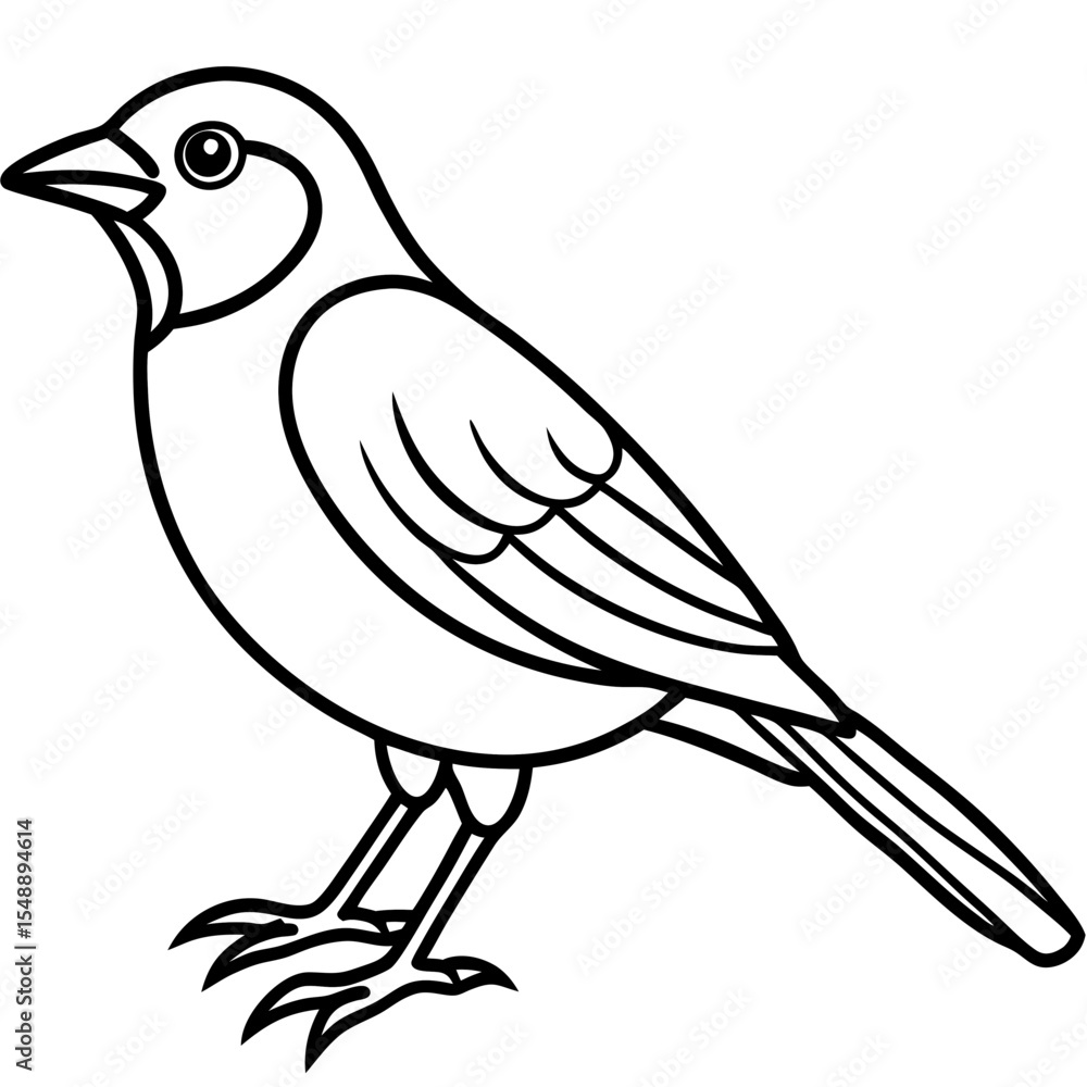 Fototapeta premium Elegant Weaver Bird Outline Vector