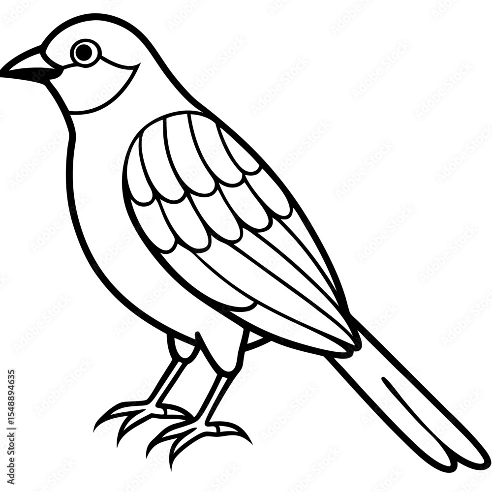 Fototapeta premium Elegant Weaver Bird Outline Vector