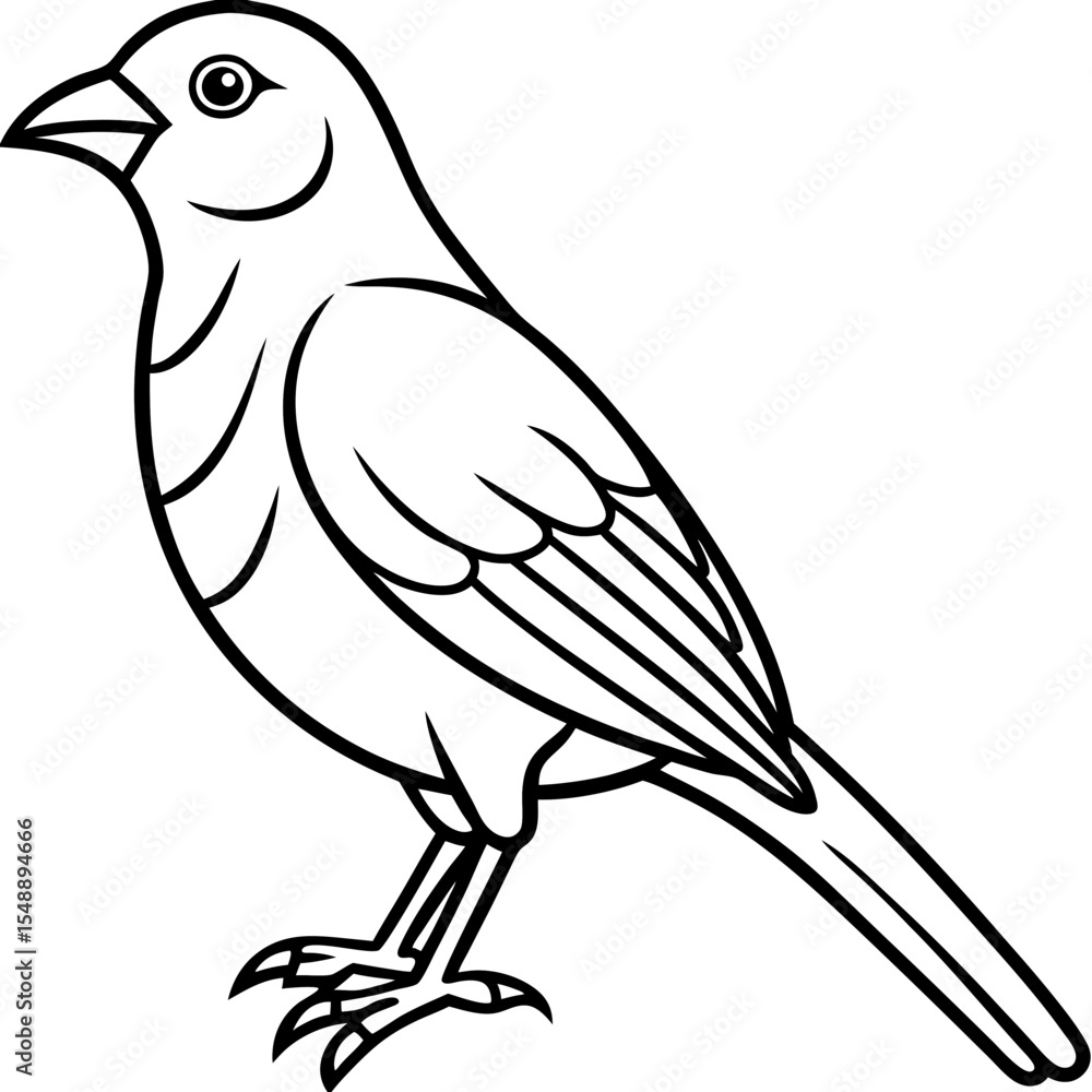 Fototapeta premium Elegant Weaver Bird Outline Vector