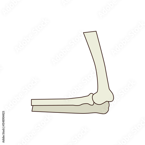 Human Elbow icon