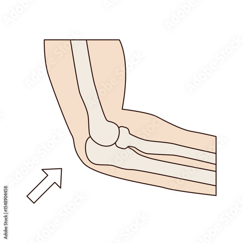 Human Elbow icon