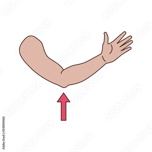 Human Elbow icon