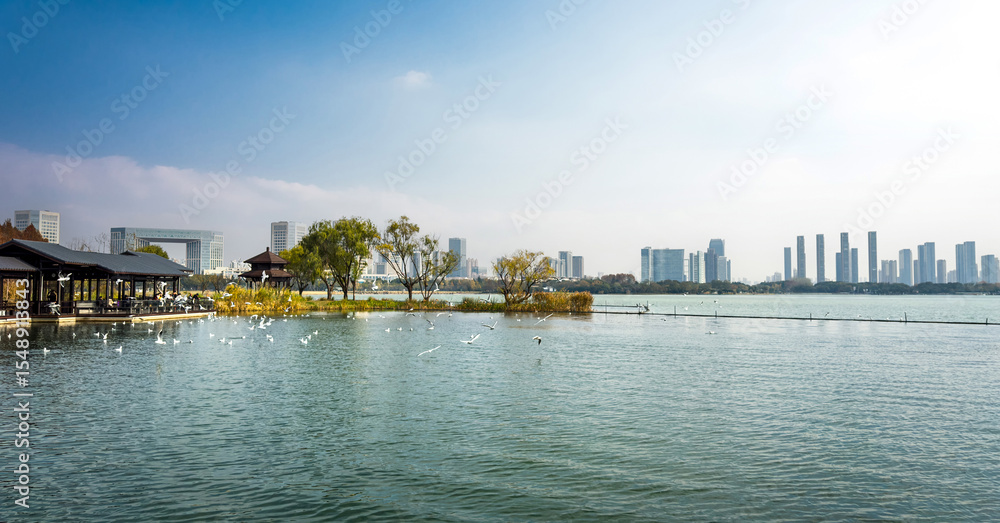 Fototapeta premium Tranquil Lake Scene with a Beautiful Urban Skyline in the Background