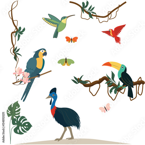 Hand-drawn Jungle birds in flat vector style on white. Perfect for designers and educators.
