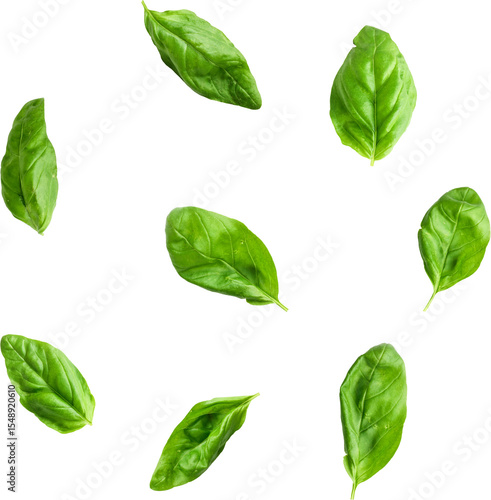 A collection of fresh basil leaves scattered against a white background, ideal for culinary use and decoration.