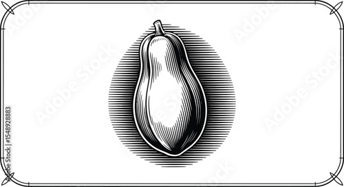 A single papaya fruit illustration with black and white lines inside a decorative rectangular border