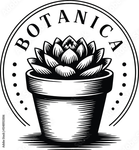 A black and white illustration of a succulent plant in a pot with the word botanica around it