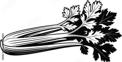 A black and white illustration of a celery stalk with leaves on a plain white background image art