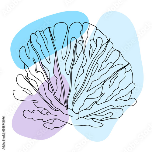 This modern, continuous line art graphic of seaweed or coral with abstract pastel shapes is excellent for marine blogs, eco-friendly product websites, or wellness design.

