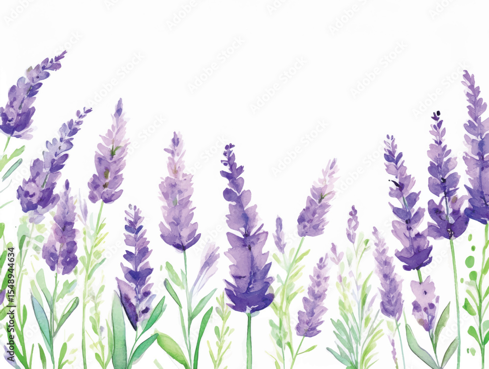 Naklejka premium Watercolor illustration style lavender background