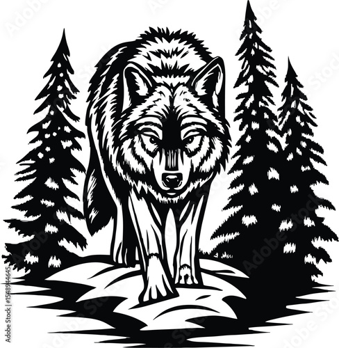 A furious wolf stalking through a snowy forest, detailed black and white illustration, woodcut style, dramatic lighting, high contrast, detailed textures
