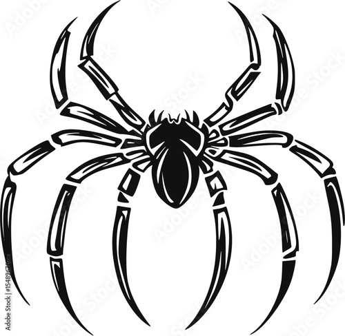 black spider isolated on white