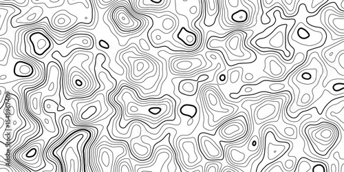 Black and White Topographic Map Art with Abstract Contour Lines and Flowing Structure.
