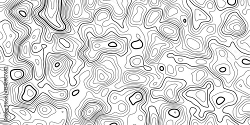 Abstract Black and White Terrain Mapping with Smooth Topographic Contour Line Design.