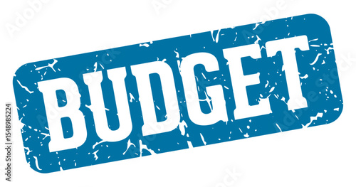 budget rectangular sign. budget stamp