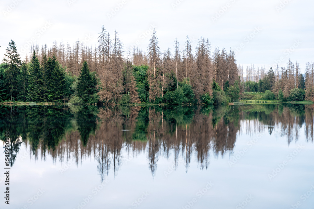 A foggy morning by a lake A foggy morning by a lake