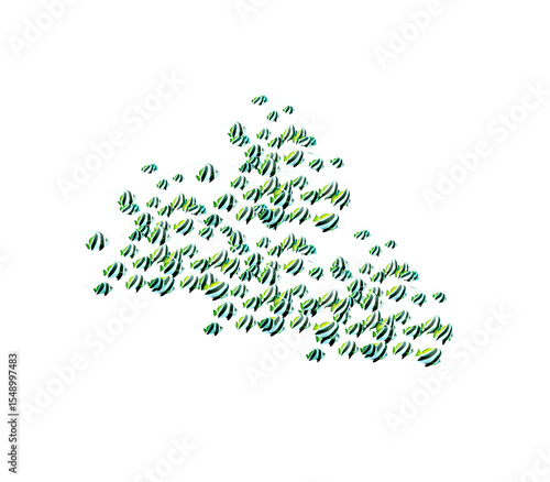 School of Moorish idol illustration