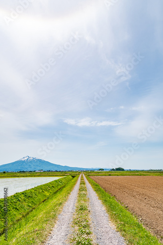 春の農道と岩木山