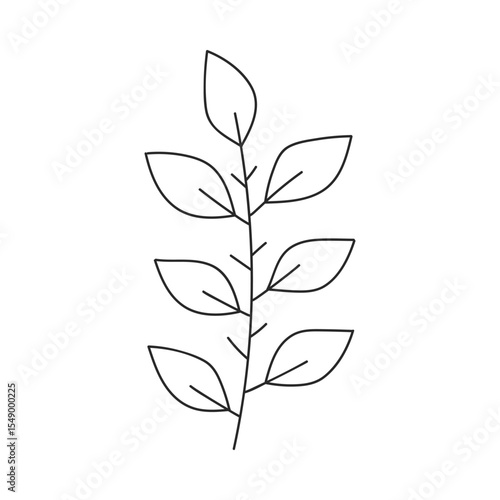 Hand drawn floral design. Stylized branch with evenly spaced paired leaves. Simple botanical design element in linear doodle style. Vector 10 EPS.