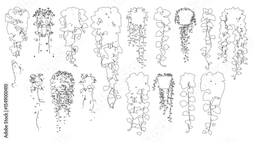 Collection of Hanging Indoor Plants Line Illustration