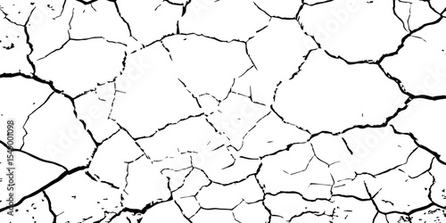 A high-contrast black and white texture of cracked earth or dry, parched ground. The image features irregular, jagged fissures and organic shapes, creating a fragmente.