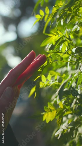 vertical shot. Female hand touching green leaves of vegetation outdoors. Natural plants close-up. Ecology and environment concept.