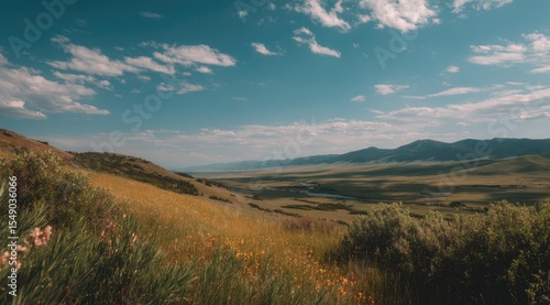 Serene Pastoral Scene with Blue Sky Clouds