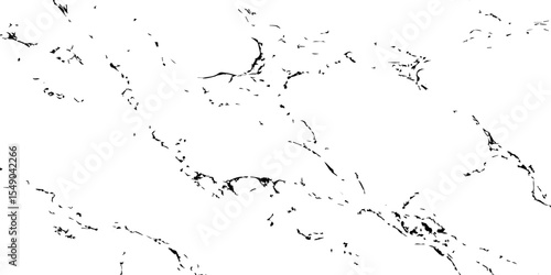 Minimalistic black and white marble texture with delicate, sparse veining and abstract organic details. Ideal for modern, clean backgrounds, luxury surfaces, or elegant design elements.