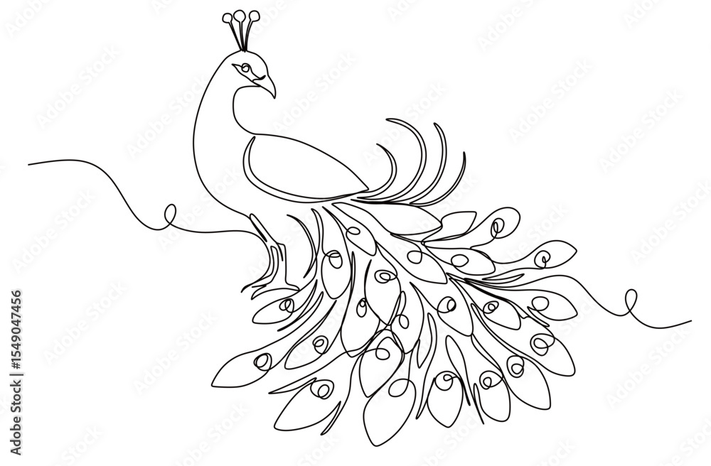 Naklejka premium continuous one line drawing of a peacock. beautiful peacock
