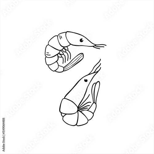 Srimps. Food illustration. Hand drawn vector illustration, balck and white minimalist drawing.
