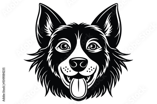 Black and white Border Collie smiles happily with tongue sticking out cheerfully