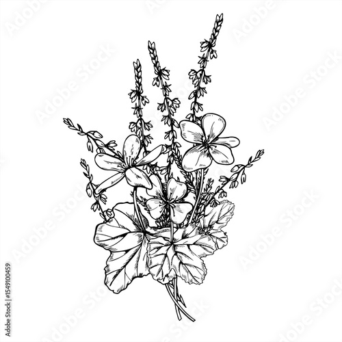 Monochrome vector bouquet of Nordic flowering cloudberry and heather branches line art black ink sketch. Tundra plants graphic sketch for wedding invitation, botanical print, rustic packaging design