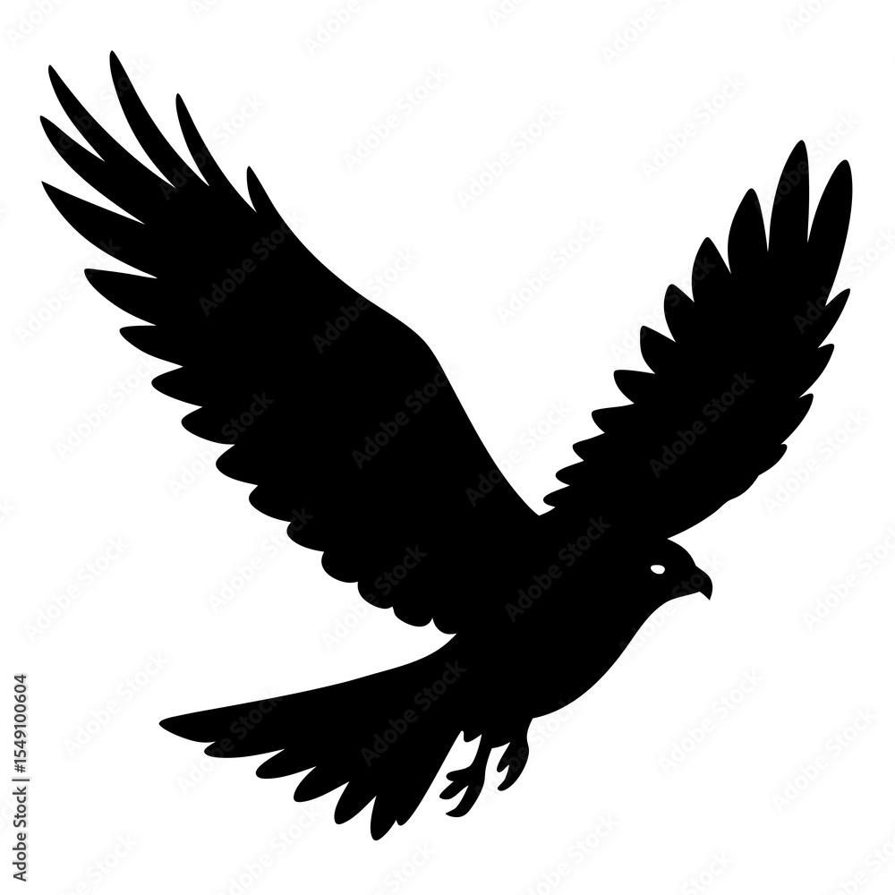 Obraz premium eagle in flight