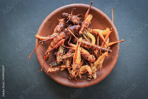 Obraz na plátně fried grasshopper or belalang goreng is traditional food from southeast asia, se