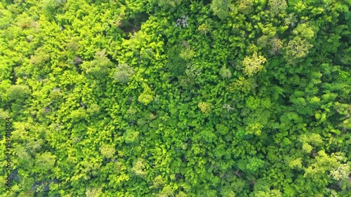 Skyview in the countryside with the village villagers mountain forest waterfall by drone