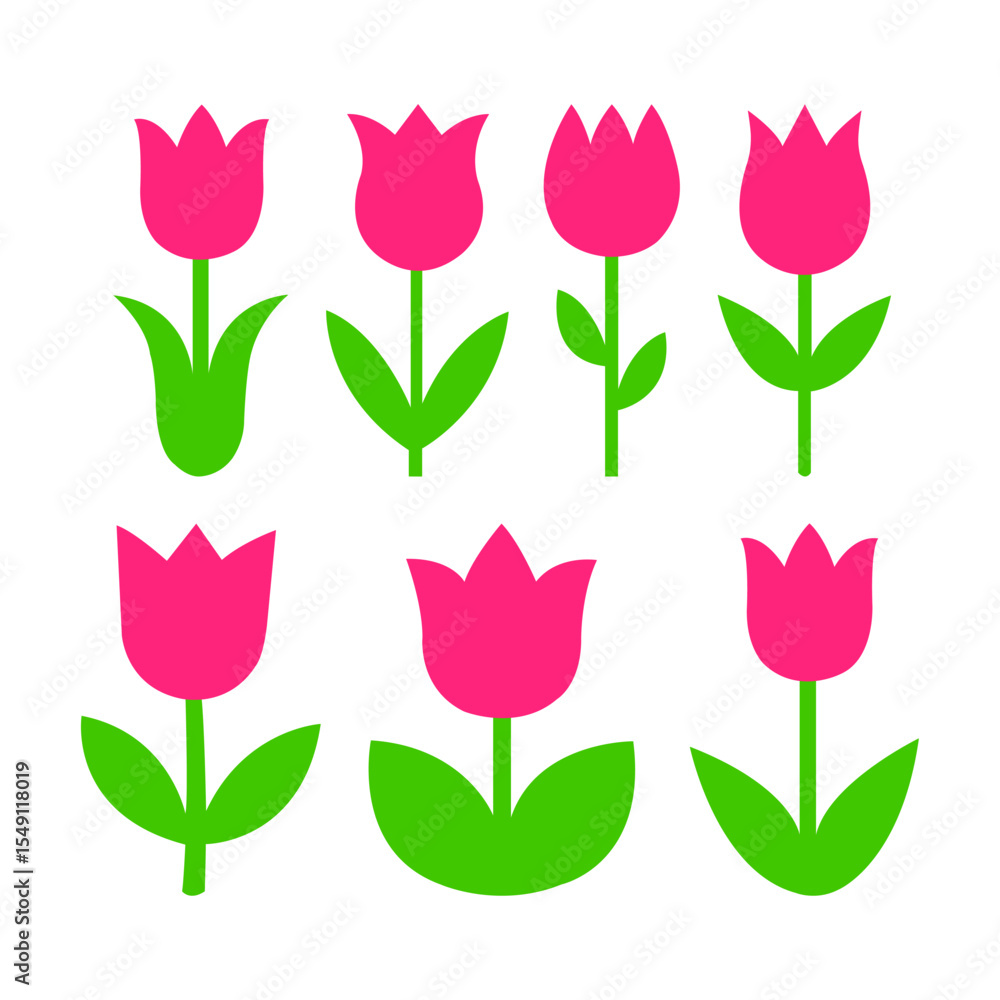 Obraz premium Tulip Flower Vector Set - Natural Floral Illustration